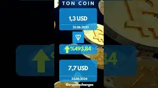 Ton Coin Change in Just 1 Year