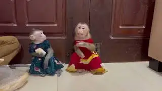 Qunn Koy & Jasmine enjoying dinner together 