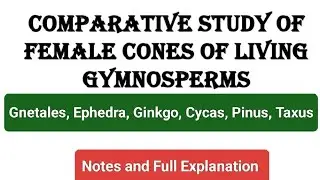 Comparative study of female cones of living gymnosperms | Diagrams #mscbotany #notes @priya_thakur