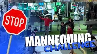 MEGA EPIC MANNEQUIN CHALLENGE - ElPelicanoOMGWTF777