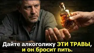 Как выйти из ЗАПОЯ БЕЗ СРЫВОВ!
