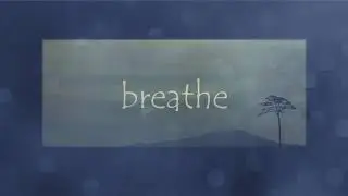Meditation & Inspiration: Stillness Before Rain