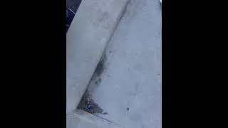 Big sams freestyle