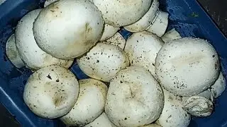  Masroom recipe please #like comment @share and #subscribe 