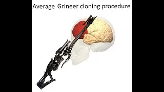 Lightningmaxxing Vadarya Prime (MEME Build) Warframe