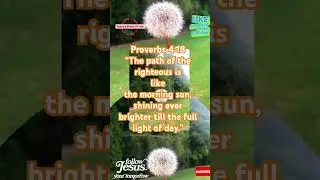 Today&rsquo;s Bread of Life| Proverbs 4:18~Righteous people&rsquo;ll Shine#may5#trending#viralvideo#tiktok#jesus