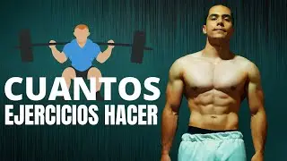 CUANTOS EJERCICIOS HACER POR MUSCULO Y POR RUTINA