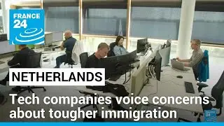 Dutch tech companies voice concern at plans for tougher stance on immigration &bull; FRANCE 24 English