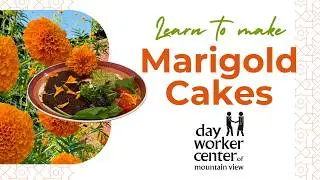 Learn How to Make Marigold Cakes