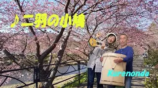 二羽の小鳩  Dos Palomitas