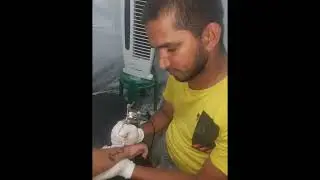 Heartbeat tattoo bird tattoo Heartbeat Birds tattoo YouTube videos 2022