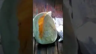 helmet shell
