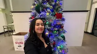 Primeiro Natal nos EUA: Montamos a Árvore e Levamos uma Bronca! 🇺🇸🎄