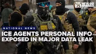 ICE and Border Patrol agents' personal info exposed in data leak