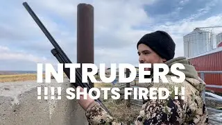 Intruders ! Shots fired ! Great pigeon hunt !