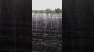 Laser Drip Drip irrigation #shorts #farmer