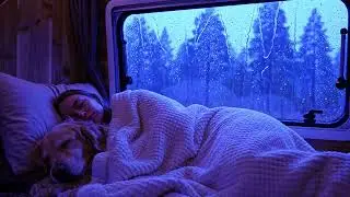 Heavy Rain and Thunder Sounds to Help You Sleep Calmly and Naturally
