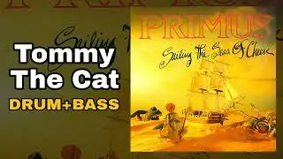 Primus - Tommy the Cat (Drum + Bass Edition)