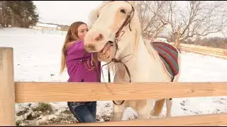 Putting a BRIDLE and a BAREBACK PAD on a YEARLING