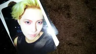 Photocard Sale~ 2016