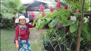 Khmer  second Home visit friends in Lakeland,Florida