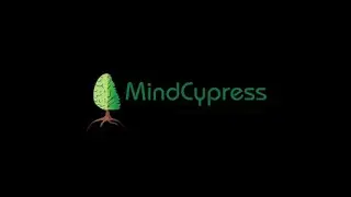 MindCypress | Professional Training Provider | PMP | Financial Modeling | Digital Marketing | Excel