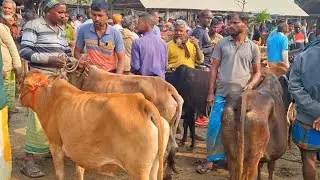@আজ ৩১ জানুয়ারি