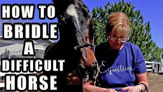 BEST TIP FOR HORSES DIFFICULT TO BRIDLE - IT WORKS!HOW TO BRIDLE A DIFFICULT HORSE