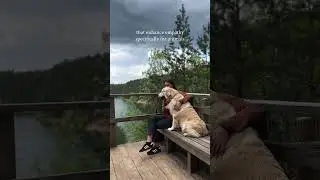 The Unspoken Bond Between You & Your Dog ✨