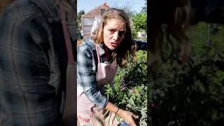 Disease control in your garden