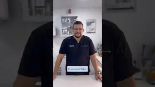 Pet Oral Care Tips with Dr. Rokas | Noble Vet Clinics