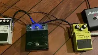 Testing T-Rex Overdrive VS Boss Super Overdrive