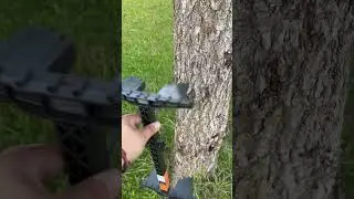 Latitude Carbon Sticks stuck on tree!! #saddlehunting #hunting #shorts