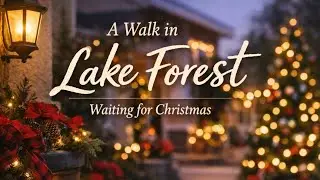 A walk in Lake forest. Waiting for Christmas.