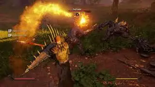 Fighting against mutant creatures in air & ground with magic in ELEX II, Lvl 66 Jax using Fire Rain!