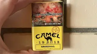 Camel Original Yellow. Желтый кэмэл. Обзор, цена, вкус, стоит ли покупать?