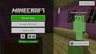 Minecraft survival