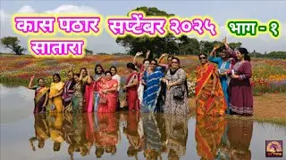 kaas Pathar Satara 2025| कासपठार सप्टेंबर | Secret Point | Kas Road|Kaas Lake|Kaspathar information 