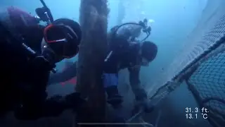 Commercial Diving on a fish weir in Atlantic Canada