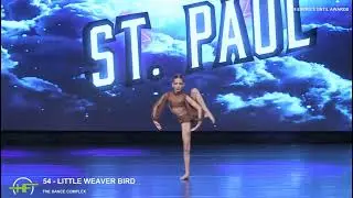 Arden Barnhouse - Little Weaver Bird