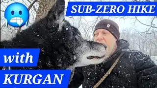 LIVE HARD 💪 ARCTIC Snow Hike: How to ENDURE -2&deg;F with Kurgan 🐺