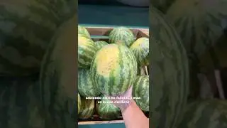 🍉 COMO ELEGIR LA MEJOR SAND&Iacute;A | #sandia #frutasyverduras #frutas
