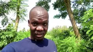 Day 3 Activities in an African village life today@iammayuguno5148 @davyjnr