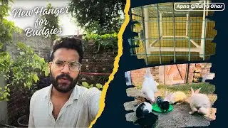 Rabbit Missing 😱 | Pet Vlog India | Fish Feeding | New Hanger for Budgies | #viral #vlog