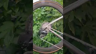 Думаю, я довел до совершенства технику легкой чистки велосипеда.