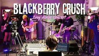 Blackberry Crush: Tiny Dorm Concert