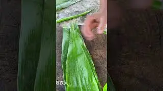 Amazing Bamboo Cutting #satisfying #cuttingskills #shorts