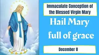 Solemnity of the Immaculate Conception of the Blessed Virgin Mary, December 8