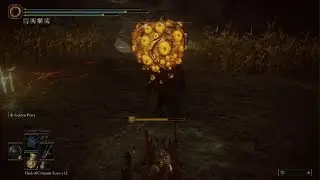 Elden Ring killing the unkillable enemy