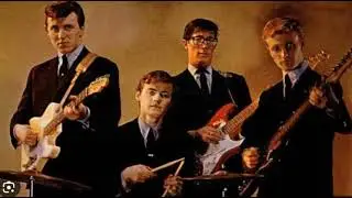 HANK MARVIN / Shadows 